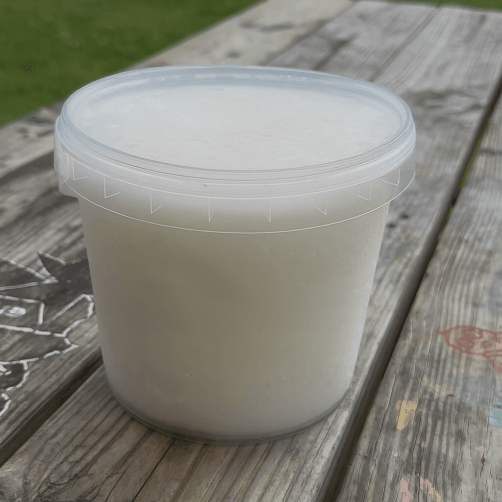 Good Vices Lemon party pint — take-home Italian ice